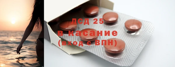 винт Алзамай