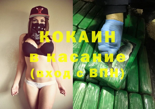 винт Алзамай