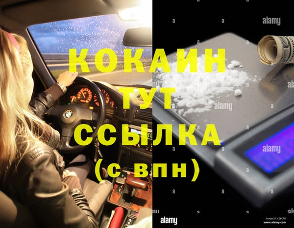 твердый Алексин