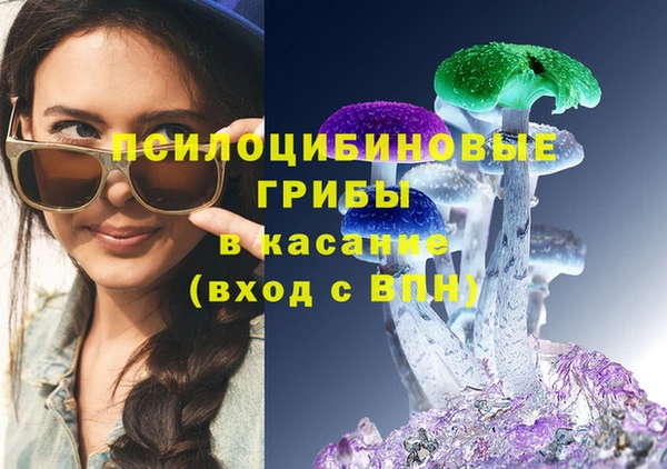 винт Алзамай