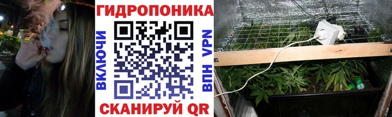 Бошки марихуана OG Kush  это телеграм  Жуков 